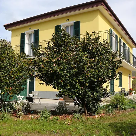 Sunny House Дом отдыха