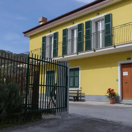 Sunny House