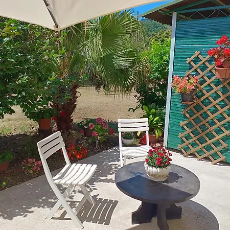 Sunny House Holiday home Carasco